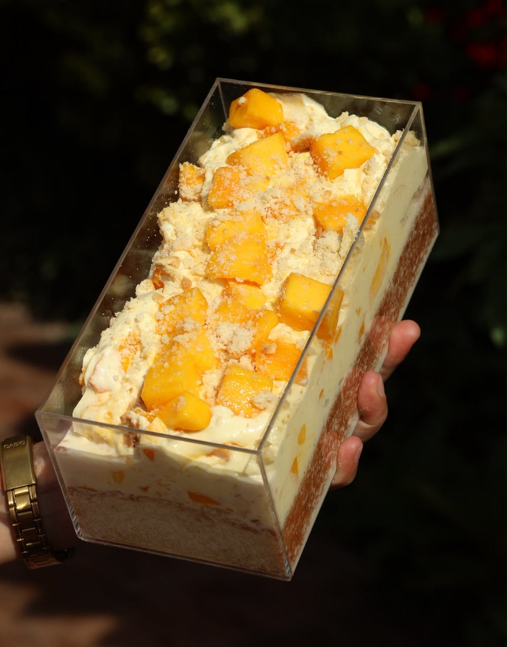 Mango Cream Pudding
